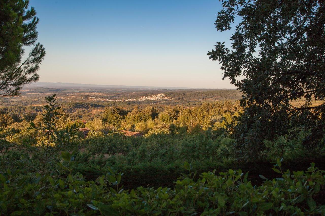 Вилла Finca La Sayuela Эль-Расо Экстерьер фото